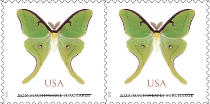 US 6031 Butterfly Luna Moth NMS horz pair MNH 2025 after 8/15