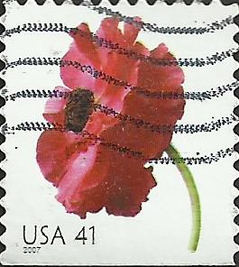 # 4183 USED POPPY