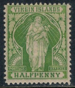 Virgin Is. #21*  CV $3.75