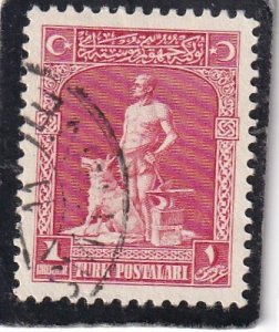Turkey   #   636   used