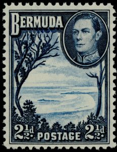 Bermuda 120 MNH Grape Bay