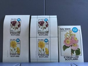 Holy Island   Scotland Flowers plants Solanum Etuberosus   MNH stamps  R24119