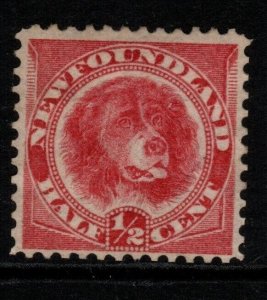 NEWFOUNDLAND SG62 1896 ½c ORANGE-VERMILION MTD MINT