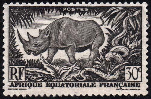 French Equatorial Africa - Scott 167 - Mint-No-Gum