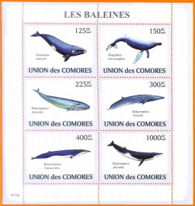 A5604 - COMOROS - ERROR, 2009, MISPERF MINIATURE SHEET: Whales, Marine life