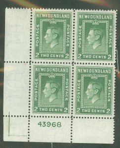 Newfoundland #245 Mint (NH) Plate Block (King)