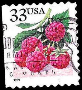 # 3300 USED RASPBERRIES