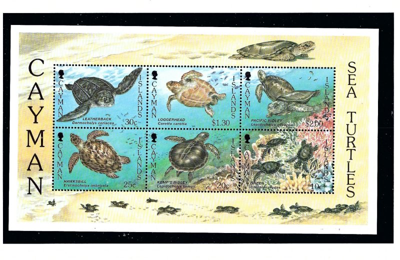 Cayman Is 698a MNH 1995 Sea Turtles S/S