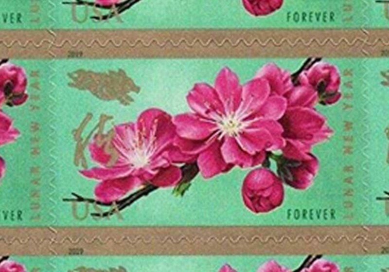 2019 Year of The Boar/Pig Sheet of 12 Forever Postage Stamps Scott 5340 