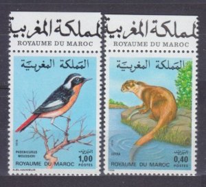 1979 Morocco 917-918+Tab Fauna - Birds 3,50 €