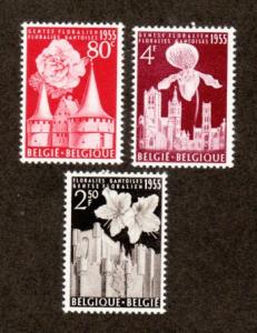 Belgium # 482-484 Mint!