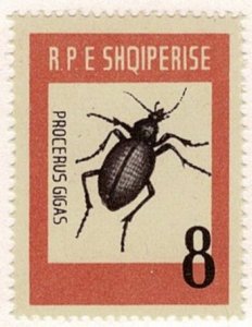 Albania #662 MNH beetle