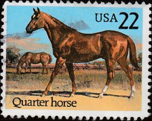 # 2155 USED QUARTER HORSE