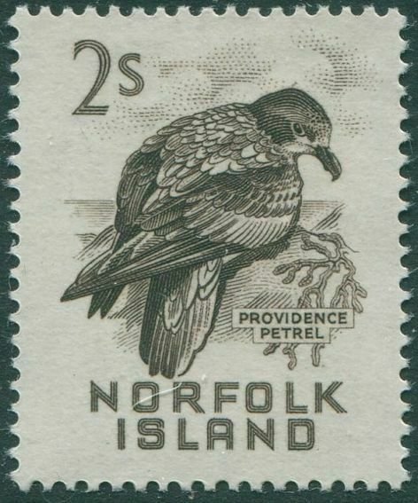 Norfolk Island 1960 SG32 2s Providence Petrel MNH