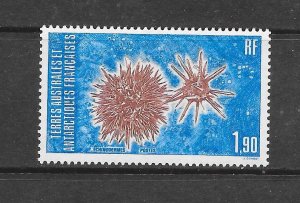 FRENCH SOUTHERN ANTARTIC TERRITORY #120 ECHINDERRMS MNH