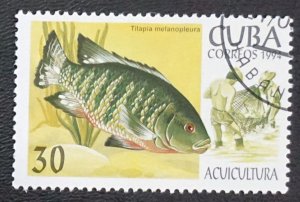 CUBA Sc# 3573 MARINE LIFE fish ocean sea 30c 1994  used / cto