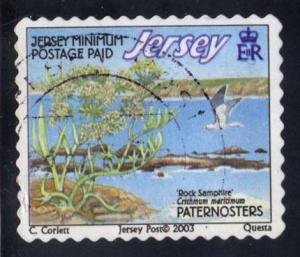 Jersey #1092d Paternosters Reef, used (1.10)