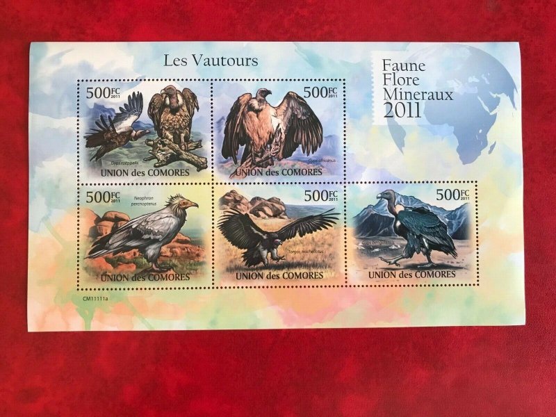 Comoro Islands MNH S/S Vultures Birds Of Prey 2011 5 Stamps