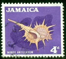 Murex Antillarum Sea Shell, Jamaica stamp SC#222 used