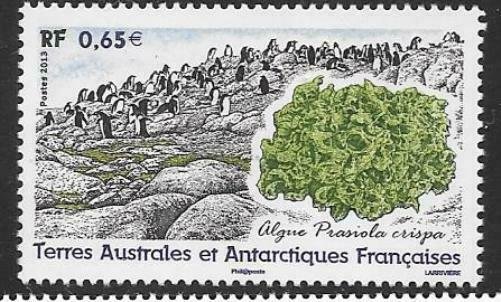 FRENCH SOUTHERN & ANTARCTIC TERRITORIES SG688 2013 ALGAE MNH