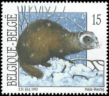 BELGIUM   #1462 MNH (1)