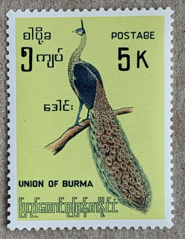 Burma 1964 Birds 5k Green peafowl, MNH.  Scott 187, CV $27.50. Peacock