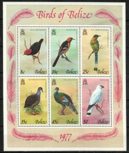 Belize Stamp 392a  - Birds of Belize