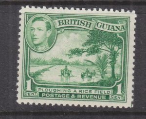 BRITISH GUIANA, 1938 KGVI 1c. Yellow Green, lhm.