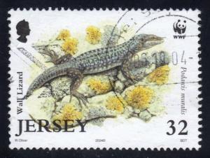 Jersey #1134 Wall Lizard, faulty, used (1.25)