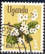 Flower, Cordia Abyssinica, Uganda stamp SC#115 used