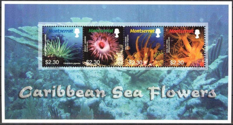 Montserrat 2006 Marine Life Sea Flowers Sheet MNH