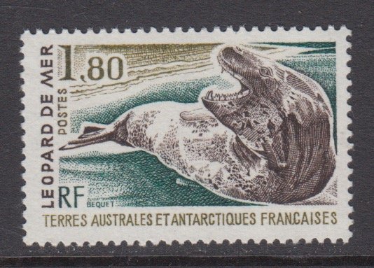 French Southern & Antarctic Territories   #93    mnh      cat $1.10