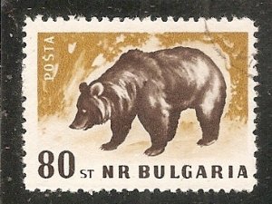 Bulgaria   Scott  1008   Bear    CTO