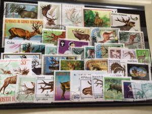 Deer from around the world stamps A6913