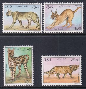 Algeria 801-804 Wild Cats MNH VF