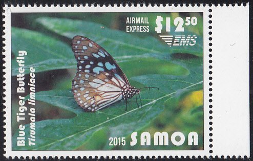 Samoa 2015 MNH Sc #C12 $12.50 Blue Tiger Butterfly Airmail Express