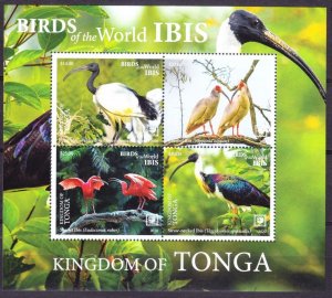 2020 Tonga 2347-2350/B136 Birds 78,00 €