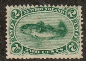 Newfoundland 24 Mint hinged