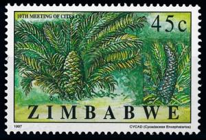 [66238] Zimbabwe 1997 Flora Plants Pflanzen Cycad From Set MNH