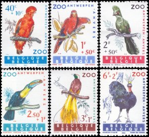 Belgium 1962 Sc B712-717 Bird Lory Touraco Toucan Peacock Bird of Paradise CV $7