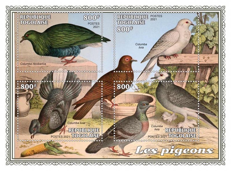 TOGO - 2021 - Pigeons - Perf 4v Sheet - Mint Never Hinged