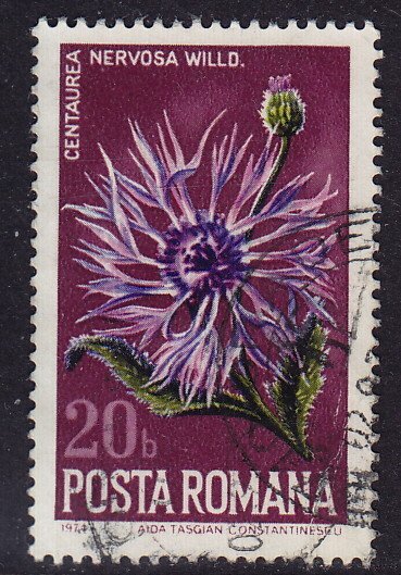 Romania - 1974 - Scott #2513 - used - Flower Thistle