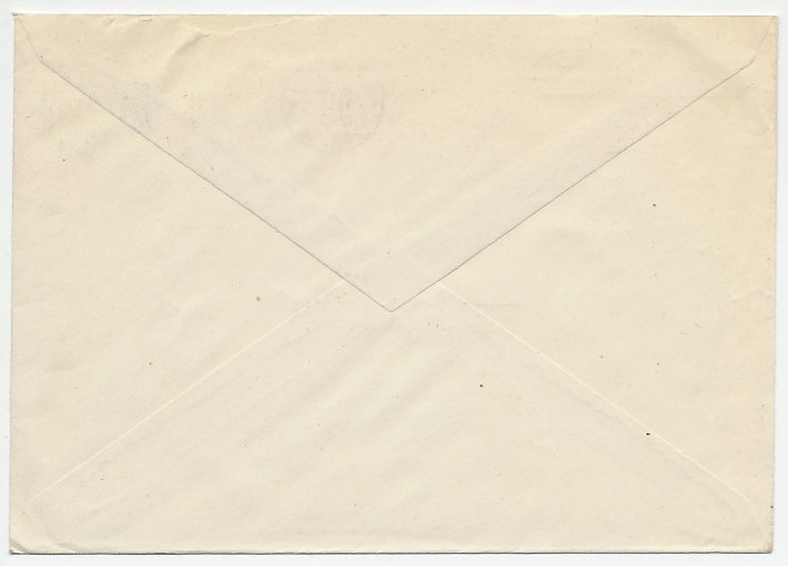 Cover / Postmark Yugoslavia 1955 Bee