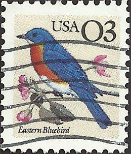 # 2478 USED EASTERN BLUEBIRD