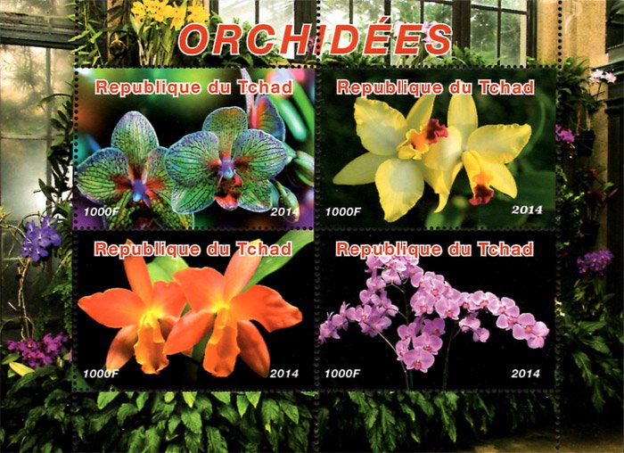 Chad 2014 Orchid Flowers 4v Mint S/S. (#48)