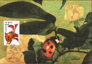 #2315 Ladybug Maxi FDC