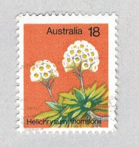 Australia Flower 18 2 (AP132815)