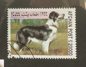 Afghanistan 1999  Mi 1857 CTO - 2000afs, dogs,  Border Collie