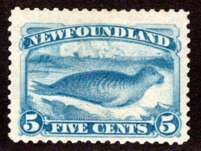 47, NSSC, Newfoundland, 5c pale blue, Harp Seal, MNHOG, VG/F, White Gum,Scot...