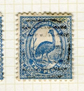 NEW SOUTH WALES; 1888 early classic QV issue fine used Shade of 2d. value